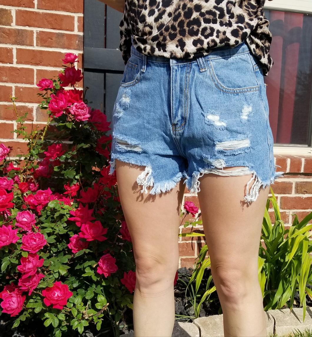 Dawn Distressed Shorts